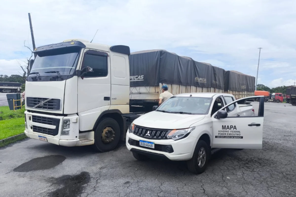 Soja adulterada: carga de 42 toneladas é apreendida e vira alvo da PF