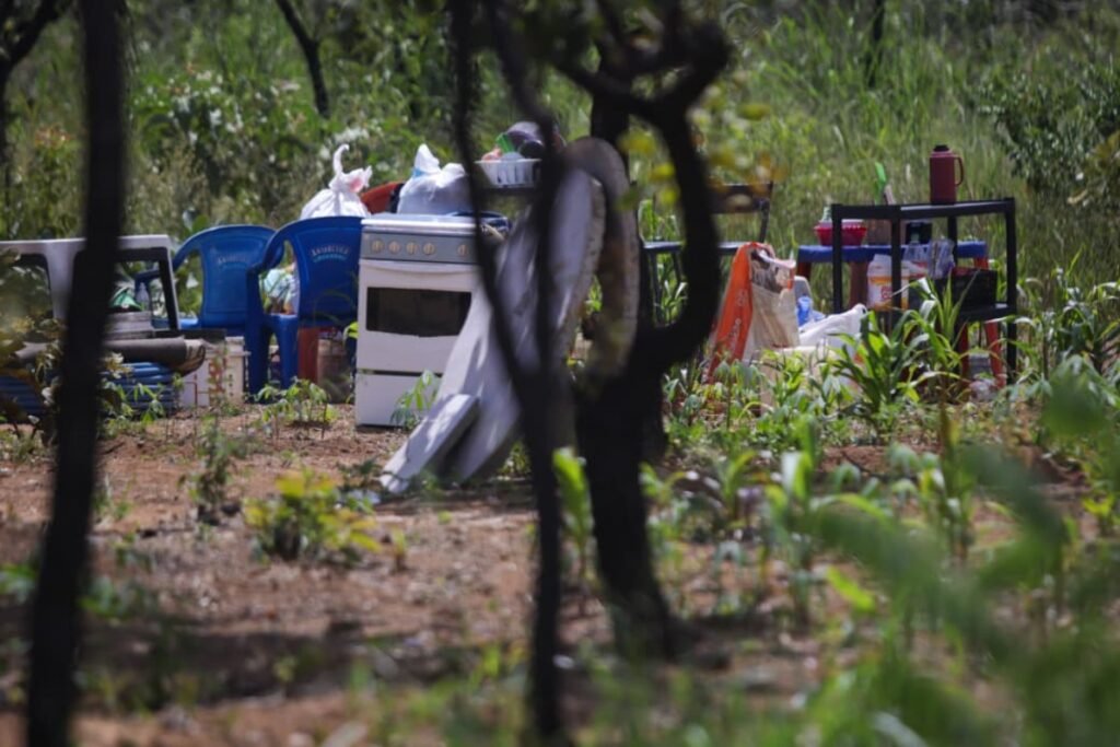 Operação de fiscalização na Serrinha do Paranoá contra invasão e trabalho escravo no DF