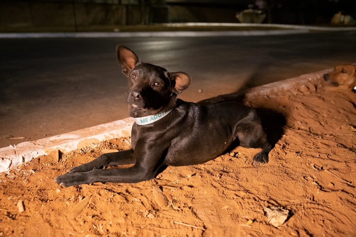 Imagem de caso registrado no Distrito Federal