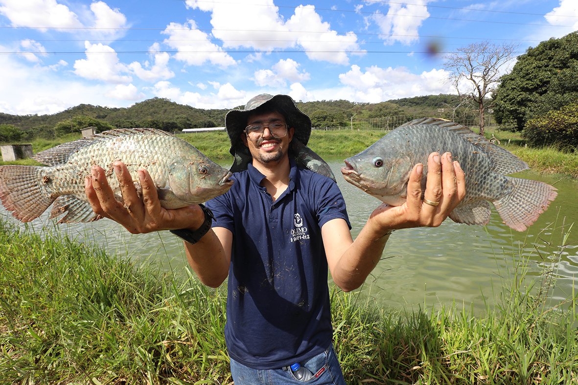 Produção de pescado no DF cresce 21,9% e chega a 2,6 milhões de quilos em 2025