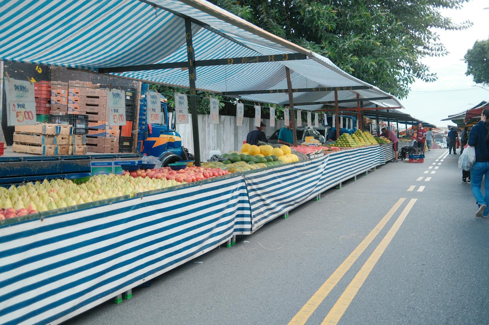 Festival do Cambuci celebra fruta nativa da Mata Atlântica em Paranapiacaba (SP)