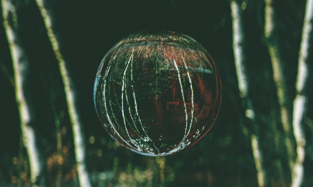 TSE adia conclusão de julgamento que pode tornar Denarium inelegível e cassar mandato em Roraima