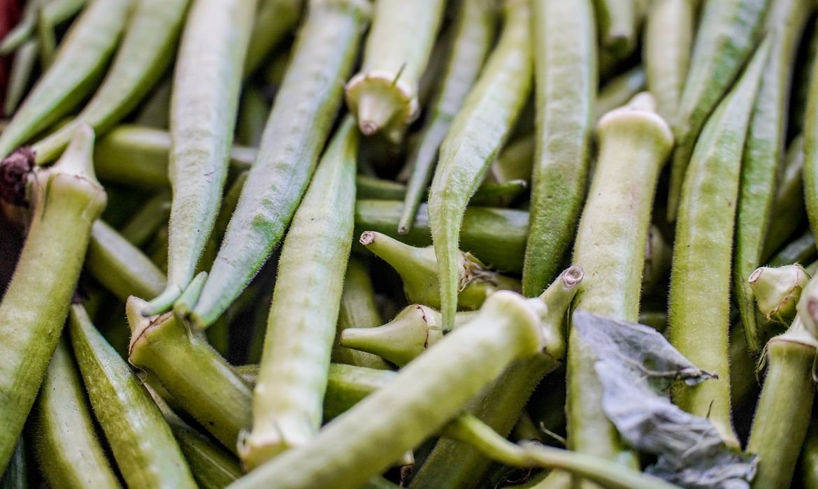 Garantia-Safra: governo divulga municípios que receberão pagamento de R$ 1,2 mil em abril