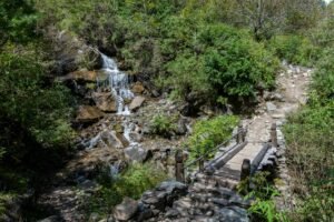 Parque Nacional da Tijuca bate recorde com 4,9 milhões de visitantes e lidera ranking há 18 anos