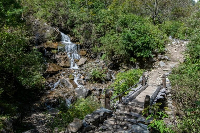 Parque Nacional da Tijuca bate recorde com 4,9 milhões de visitantes e lidera ranking há 18 anos