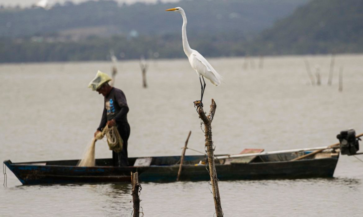 Câmara aprova mudanças no seguro-defeso com medidas para prevenir fraudes