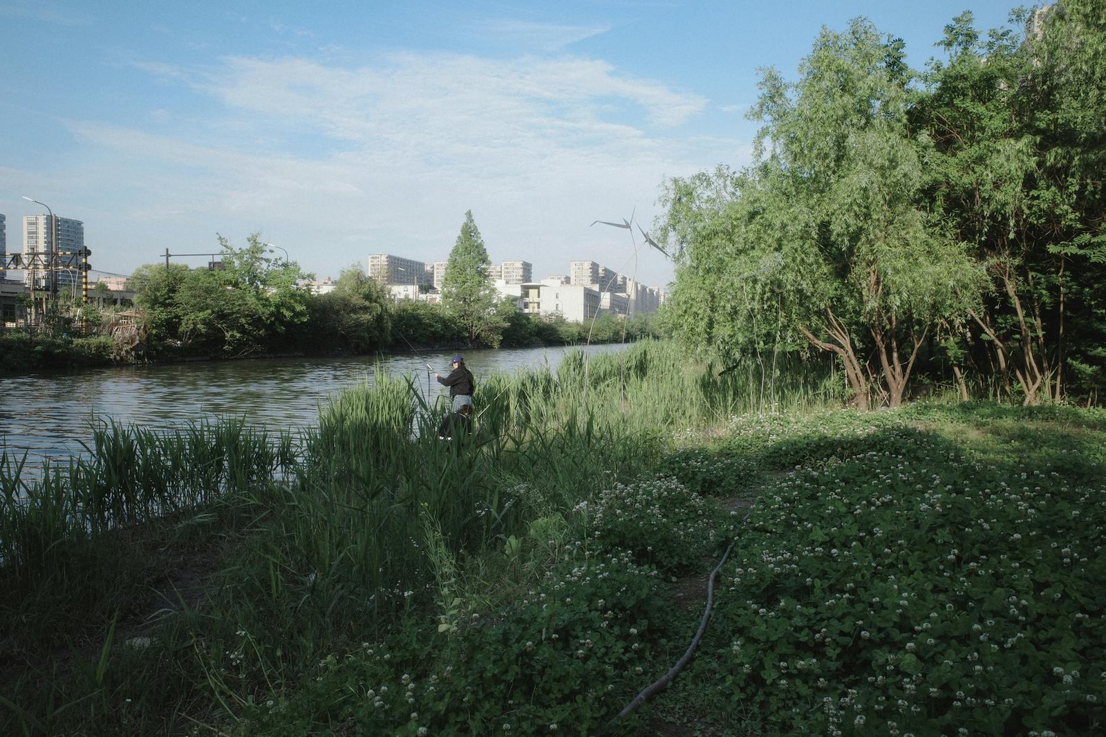 Renaturalização de rios vira estratégia contra enchentes nas cidades brasileiras