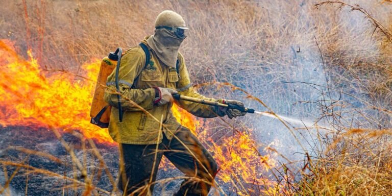 Governo divulga plano para enfrentar incêndios em 2026 após queda de 39% em 2025