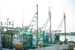 Pescadores em porto brasileiro