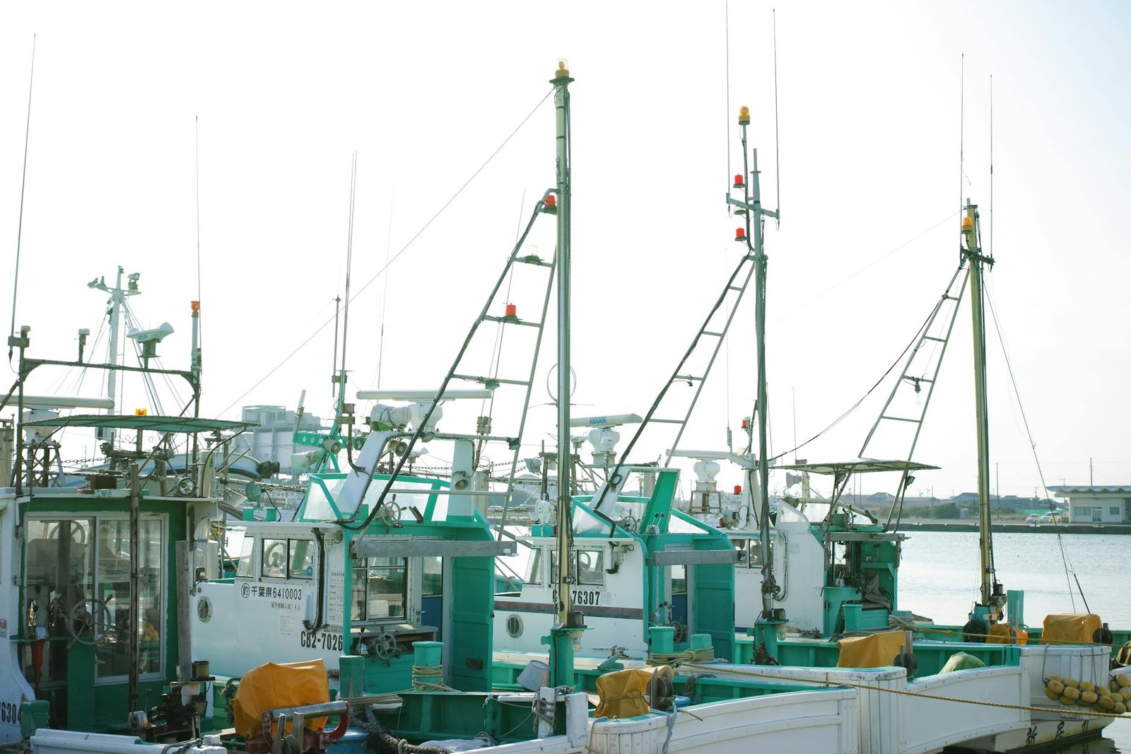 Pescadores em porto brasileiro