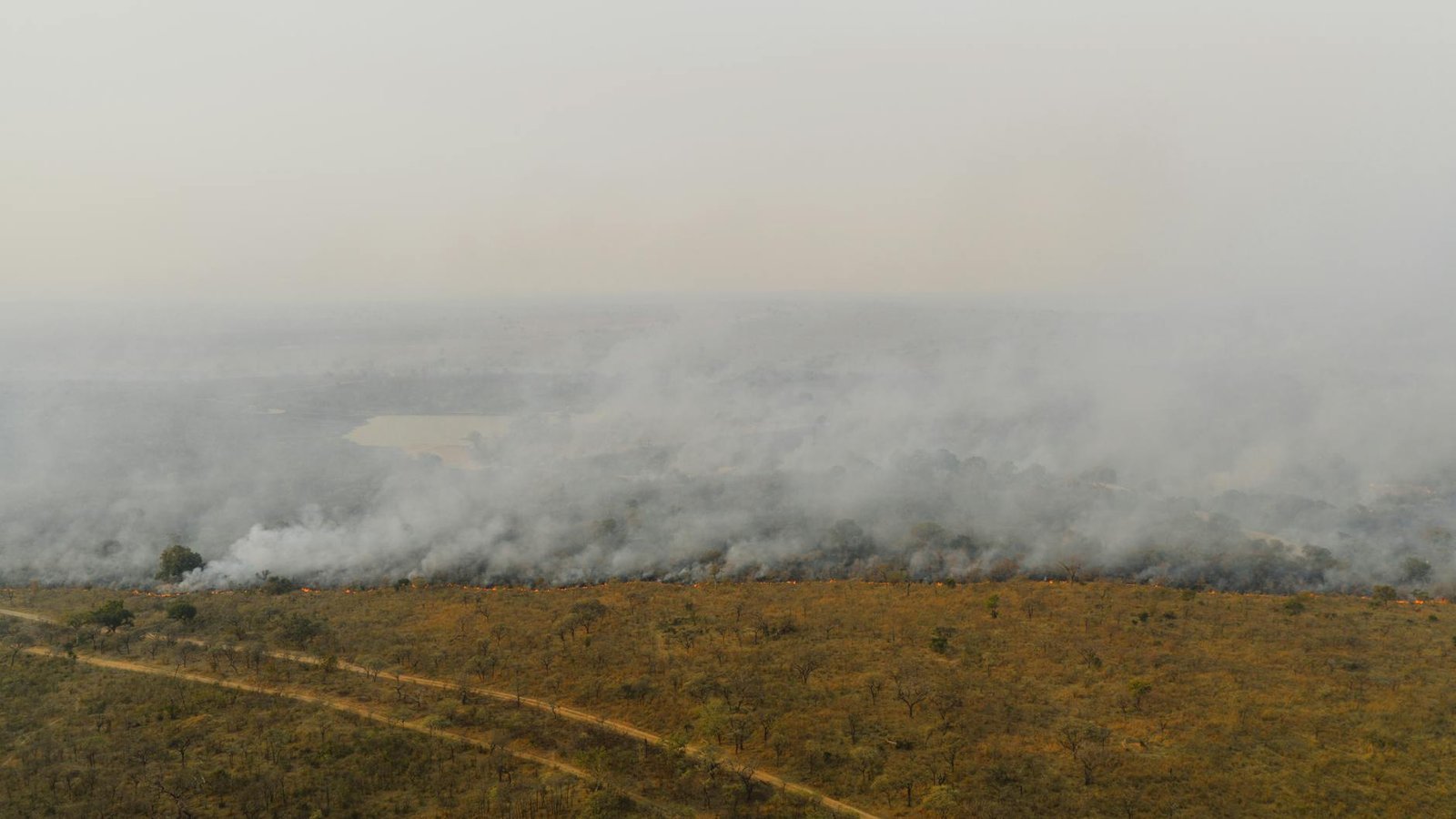 Brigadistas combatem foco de incêndio em área de cerrado no Distrito Federal