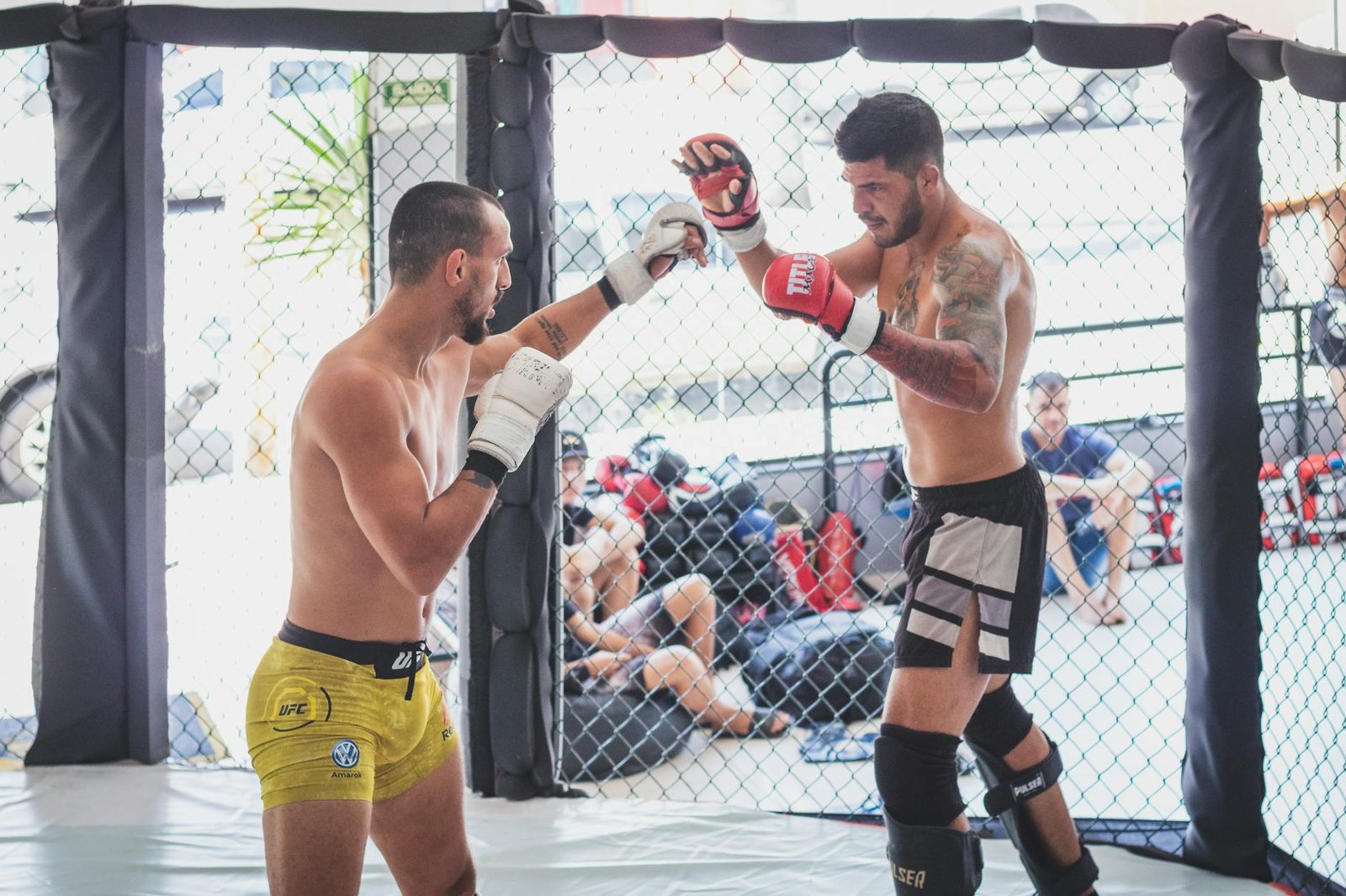 UFC volta a Brasilia apos cinco anos com Renato Moicano no card