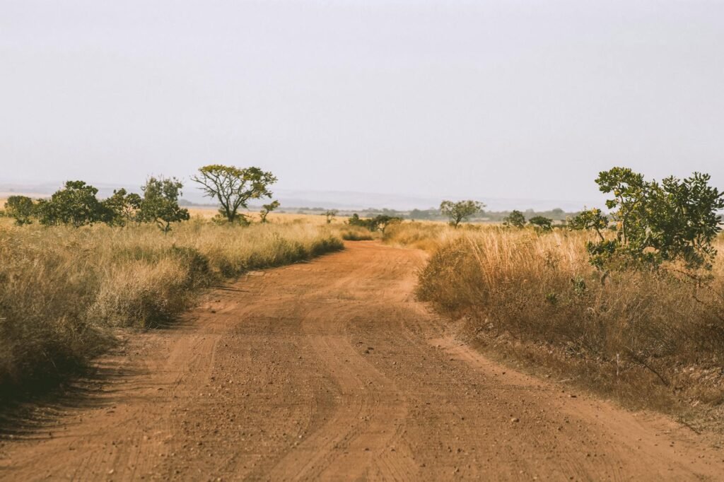 UnB e Embrapa usam IA para achar 13 mil hectares no Cerrado