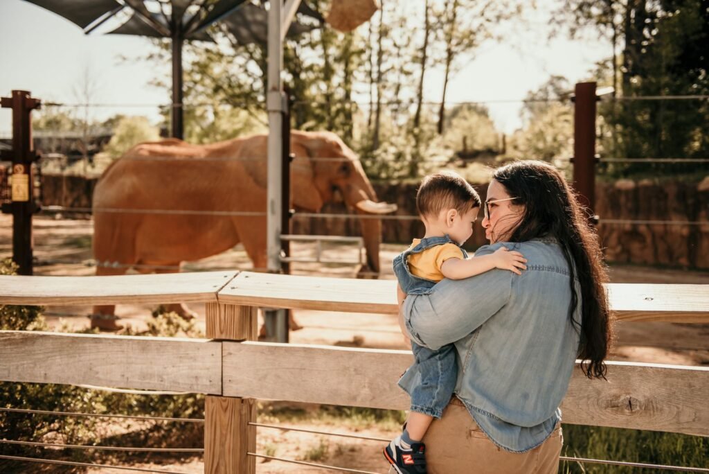 Zoológico de Brasília: ingresso, horário e como chegar