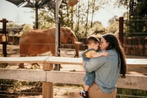 Zoológico de Brasília: ingresso, horário e como chegar