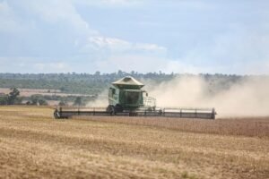 Conab projeta safra recorde de 358,6 milhões de toneladas de grãos no Brasil