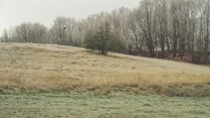 Onda de frio traz geada ao Sul e leva mínimas a -8°C no Rio Grande do Sul