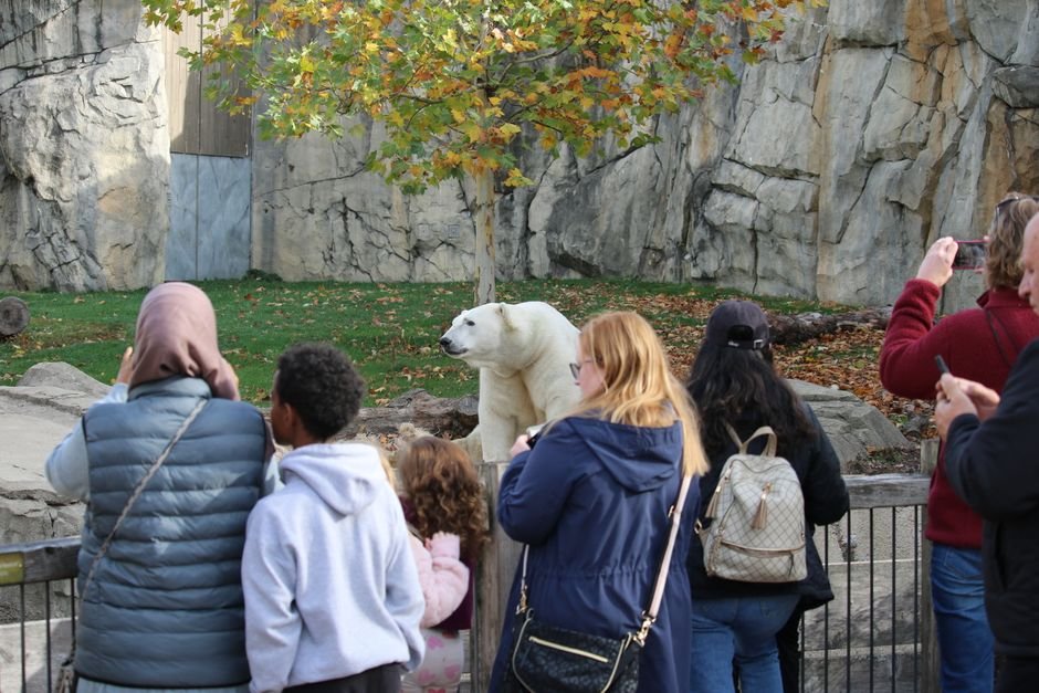 Zoológico de Brasília vira ponto de férias com domingo grátis e bicho para ver de perto