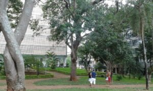Area arborizada de quadra residencial da Asa Sul em Brasilia, com bloco ao fundo