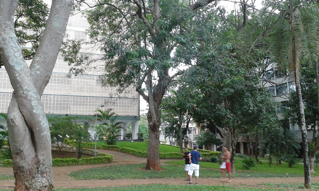 Area arborizada de quadra residencial da Asa Sul em Brasilia, com bloco ao fundo