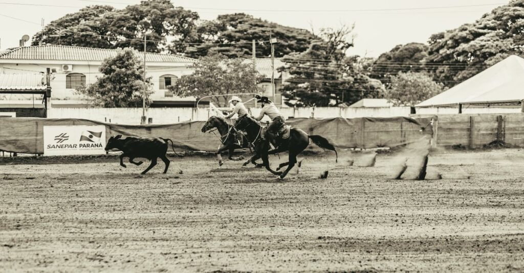 Peoes a cavalo em prova de laco em arena de rodeio de terra batida, imagem ilustrativa