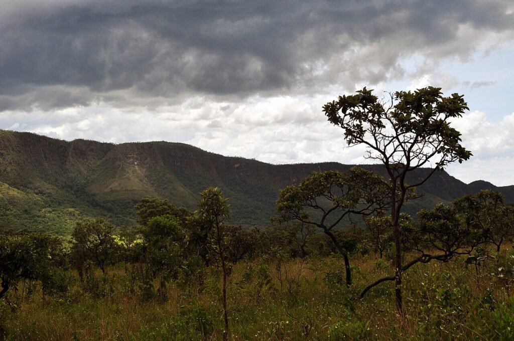 Vegetação típica do Cerrado, com árvores de troncos retorcidos e campo aberto diante de um paredão de chapada