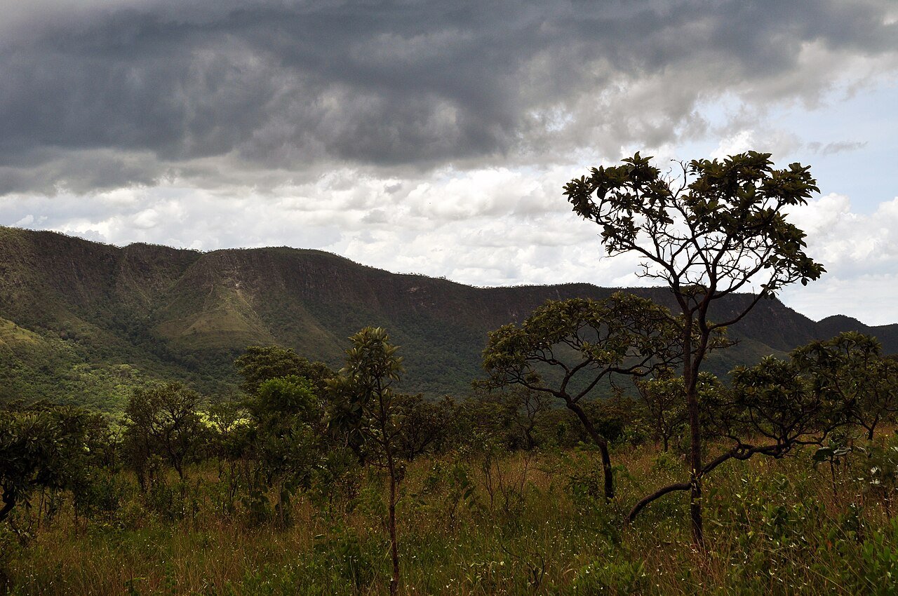 Vegetação típica do Cerrado, com árvores de troncos retorcidos e campo aberto diante de um paredão de chapada