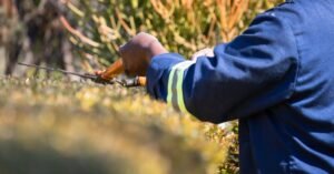 Trabalhador de uniforme azul com faixa refletiva poda uma cerca viva com tesoura de jardim
