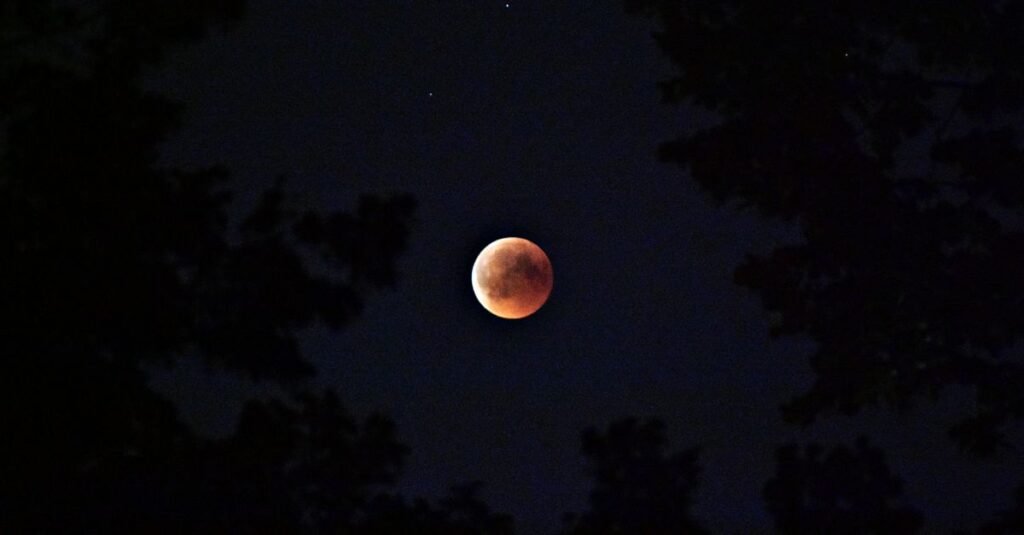 Lua avermelhada durante eclipse lunar parcial, vista entre galhos de árvores no céu noturno