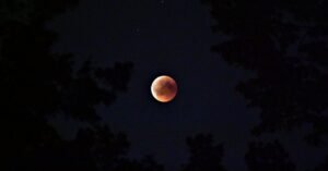 Lua avermelhada durante eclipse lunar parcial, vista entre galhos de árvores no céu noturno