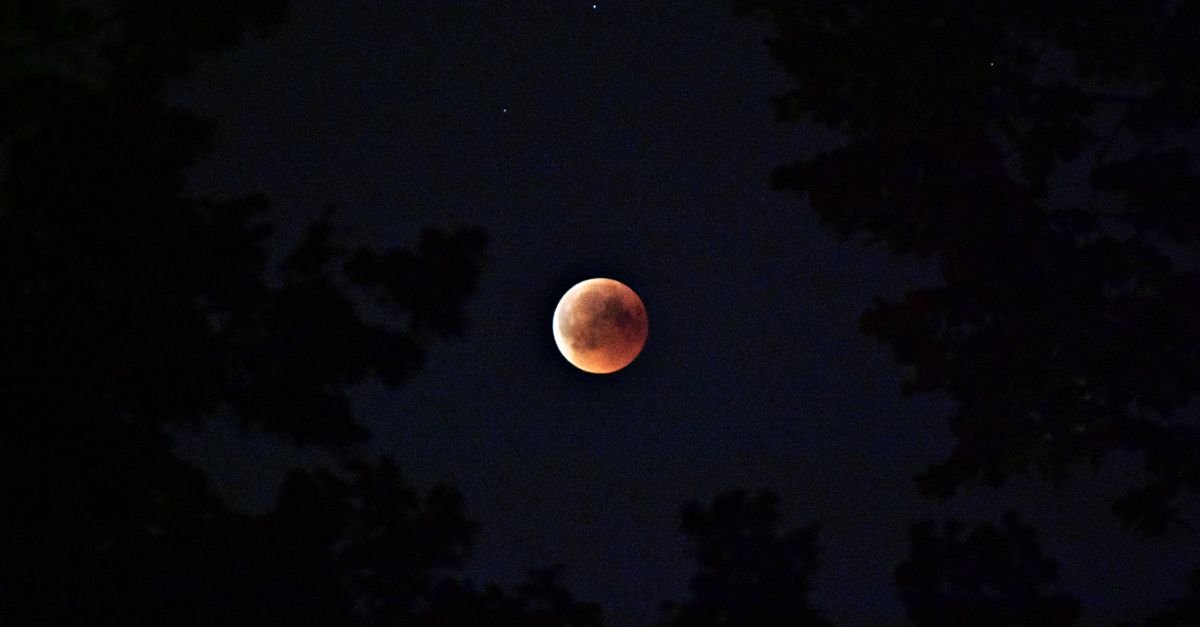 Lua avermelhada durante eclipse lunar parcial, vista entre galhos de árvores no céu noturno