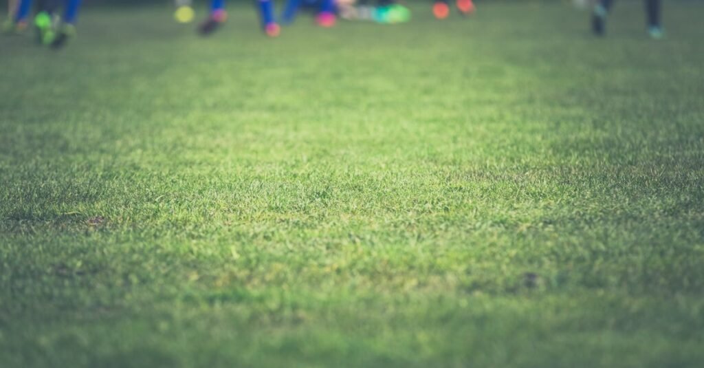 Gramado de campo de futebol com jogadores desfocados ao fundo