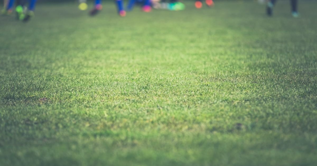 Gramado de campo de futebol com jogadores desfocados ao fundo