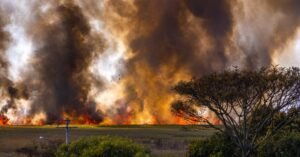 Chamas e fumaça avançam sobre vegetação seca de campo em dia claro