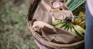 Cesta de vime com bananas, mamoes, cebolinha e sacos de papel com alimentos, carregada por uma pessoa