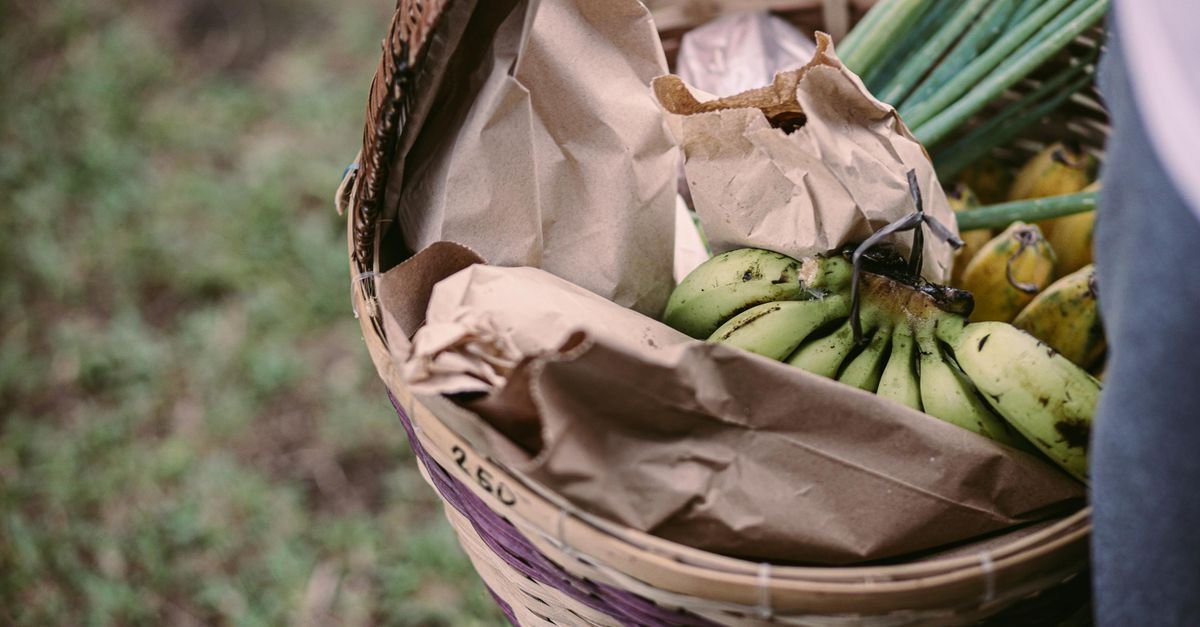 Cesta de vime com bananas, mamoes, cebolinha e sacos de papel com alimentos, carregada por uma pessoa