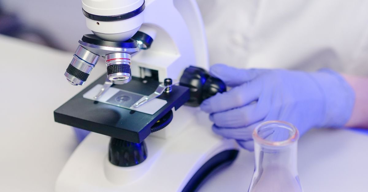 Profissional de laboratório com luvas ajusta microscópio