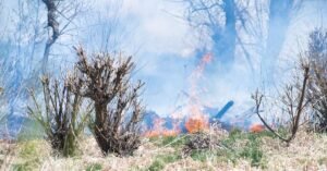Fogo se espalha por vegetação seca em meio a fumaça densa