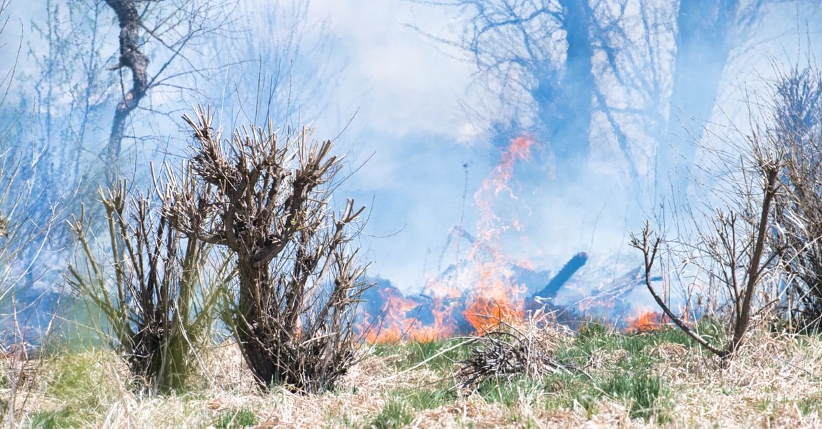 Fogo se espalha por vegetação seca em meio a fumaça densa