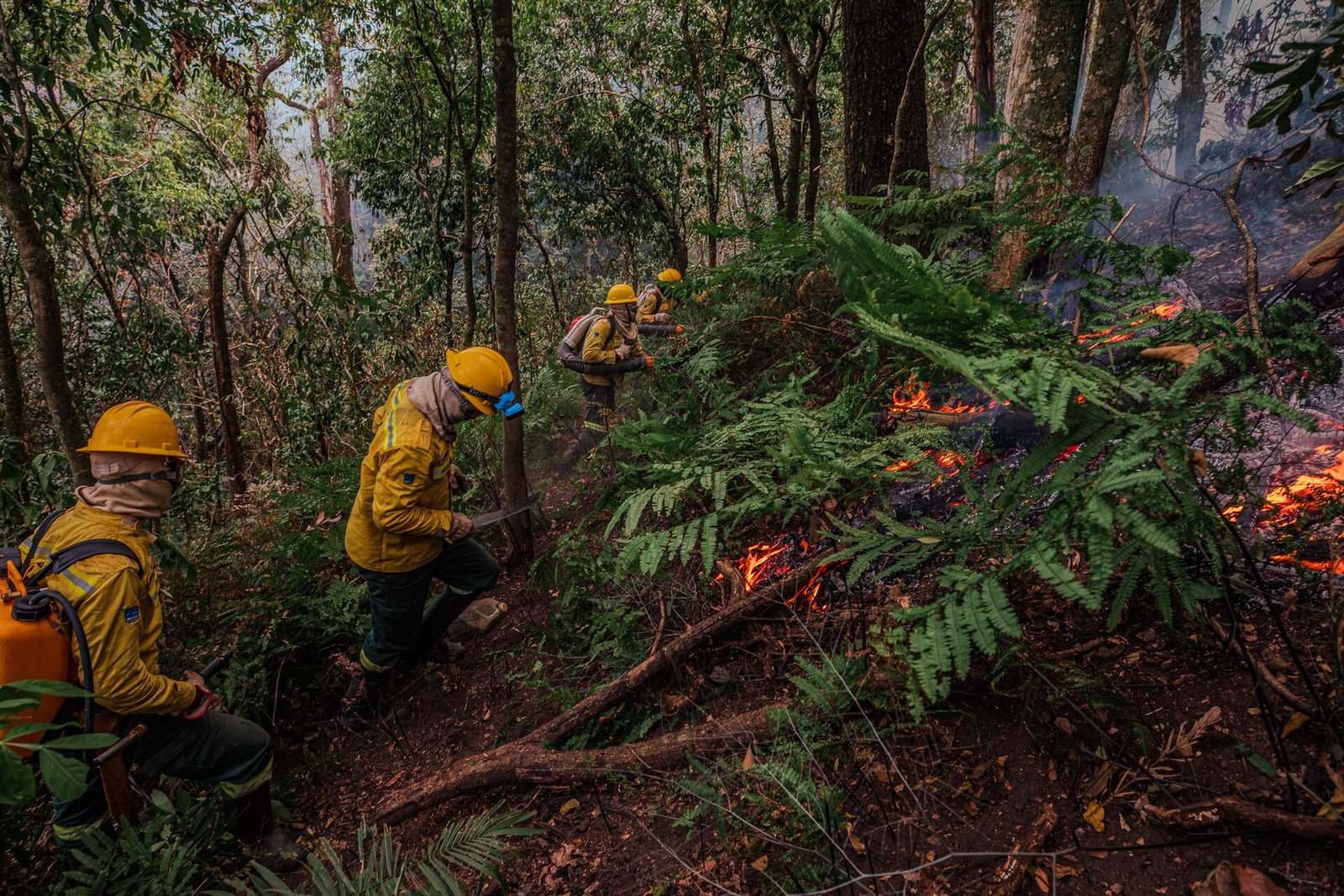 Brigadistas de uniforme amarelo combatem focos de incêndio em área de vegetação