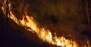 Chamas avançando sobre vegetação seca durante a noite