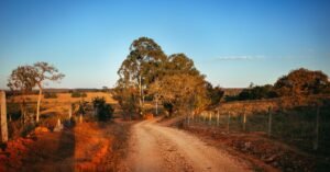 Estrada de terra em area rural, com cerca de arame e vegetacao do cerrado ao entardecer