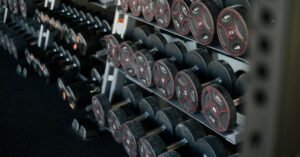 Halteres organizados em suporte de academia
