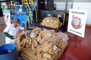 Funcionário com máscara move tabletes de maconha para incineração ao lado de banner da Polícia Civil do Distrito Federal