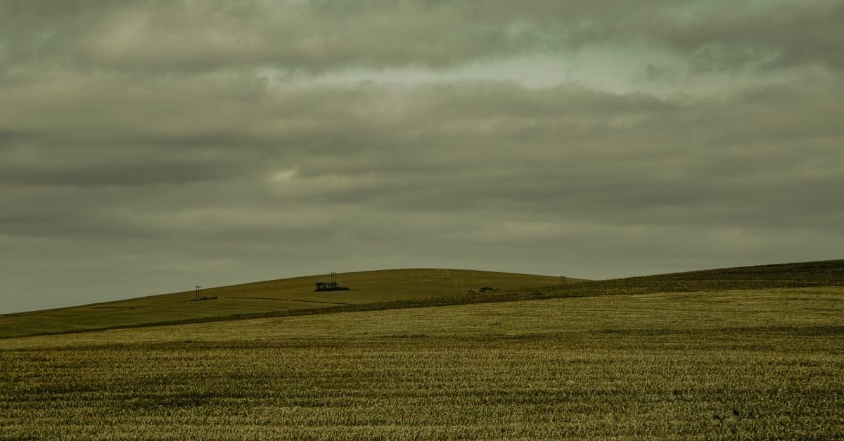 Área de lavoura colhida em propriedade rural sob céu nublado