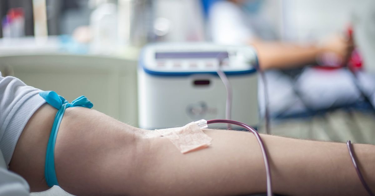 Braço de doador com garrote e agulha durante coleta de sangue