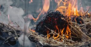 Chamas e fumaça consumindo palha e vegetação seca em primeiro plano