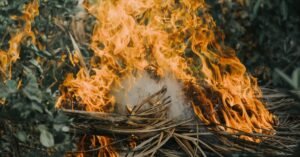 Chamas altas consumindo folhas e galhos secos em área de vegetação, com fumaça branca ao centro