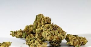 Porções de maconha seca sobre fundo branco