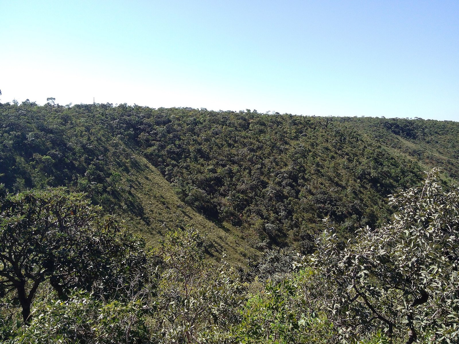 Vegetação de cerrado em encosta sob céu limpo em dia seco
